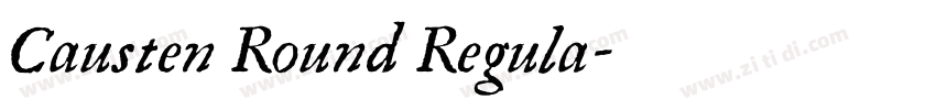 Causten Round Regula字体转换